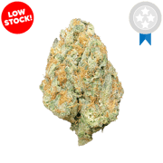 Sherblato THCA Flower Online – Order Now