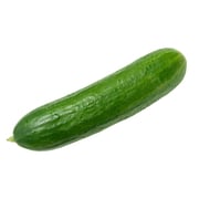 Aloe Vera Leaf