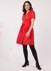 Barb Red Tie-Waist Tea Dress