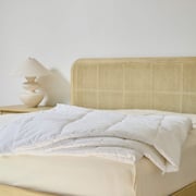 Down Alternative Duvet Insert