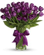 Passionate Purple Tulips