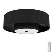 Brookside Jasmine Roth Indoor Fandelier with LED Light 30 inch with remote