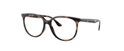 RB4378V Optics