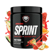 SPRINT (PRE-Run BOOST)