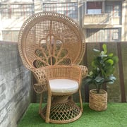 Delila 58 Rattan Peacock Chair