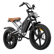 JANSNO X50 Fat Tire Electric Bike for Adults,750W Powerful Motor, 48V 14Ah Removable Battery