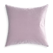 Lilac Velvet