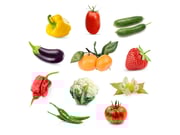 Grow Anything Plant Pods (optimised for fruiting plants)