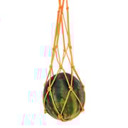 Melon Cradles
