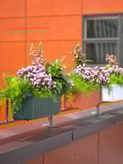 Adjustable Self-Watering Railing Planter, 24"