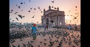 Flights from Indianapolis to Mumbai