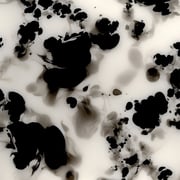 Black and White Tortoiseshell Abstract Elegant