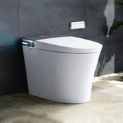 10 Inch Rough In Toilet with Bidet and Dryer for Power Outage Model T37D