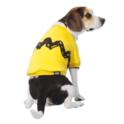 Peanuts Sweatshirt