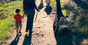 Denver: Llama Hike in the Rocky Mountains