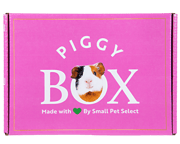 The Piggy Box