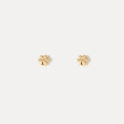 Paw Print Studs