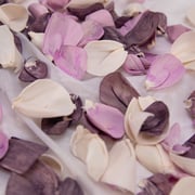 100 Petal Pack - Zen Garden