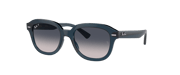 RB4398 Erik