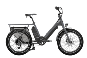 Dubbel Ebike