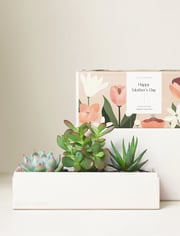 Mother's Day Jewel Garden
