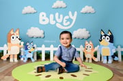 Fox Bluey Chilli Bandit Bingo Heeler Kiwi Vinyl Backdrop Designed by Claudia Uribe