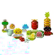 Lego Organic Garden Construction Game