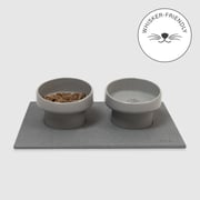 Elevated Cat Feeding Station