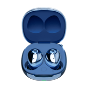 The Fitness Earbuds