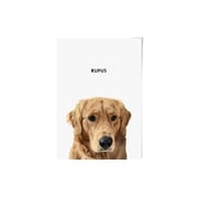 Modern Pet Portrait - One Pet