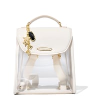 Clear Backpack Set