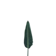 Strelitzia Leaf 80cm