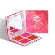 Vibrants | Velvet Touch Blush Palette