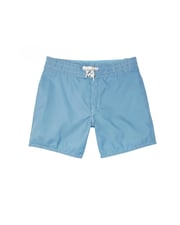 310 Boardshorts - Federal Blue