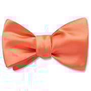 Living Coral Charmeuse - bow ties