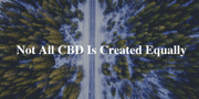 CBG + CBD Infused Daytime Bites 1200mg