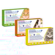 Revolution Plus (Monthly) (Selamectin / Sarolaner Topical Solution)