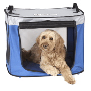 Pup-Up Shade Oasis