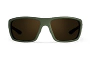 Freshwater Revivals