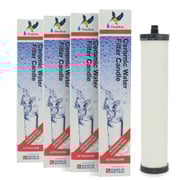 Doulton 10" Ceramic Ultracarb Water Filter Cartridge - W9223021, 4-Pack