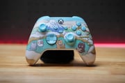 24 Hour Meowtain Retreat Cinch Xbox Pro