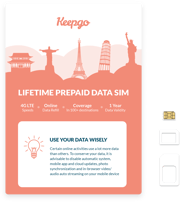 Lifetime World SIM Card