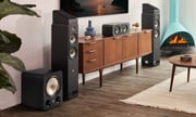Signature Elite ES10 Subwoofer
