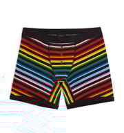 6" Fly Boxer Briefs - Progress Pride Stripes