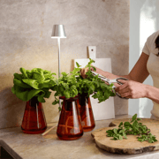 Counterstand Set