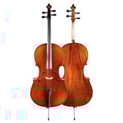 Fiddlerman Artist Cello Outfit