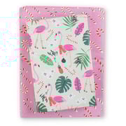 Feliz Flamingos/ Candy Canes