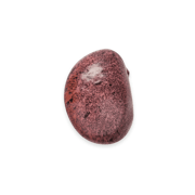 Ayocote Morado Beans