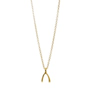 Wish Wishbone Pendant Necklace