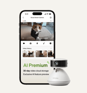 Video cloud AI